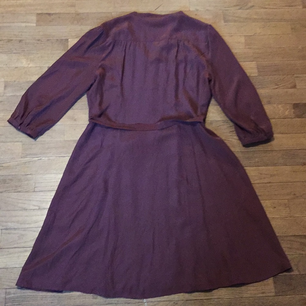 Territory Ahead Washed-Silk Dress - Picture 4 of 7